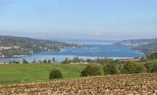 Untersee