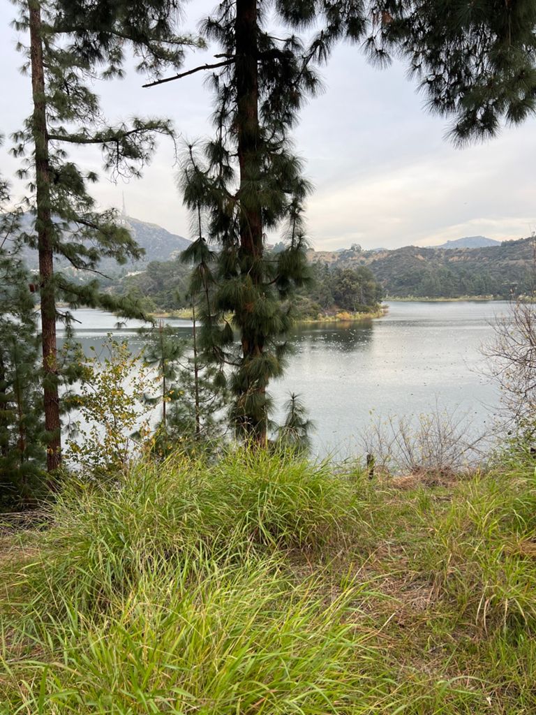 NBB run - Lake Hollywood photo 66