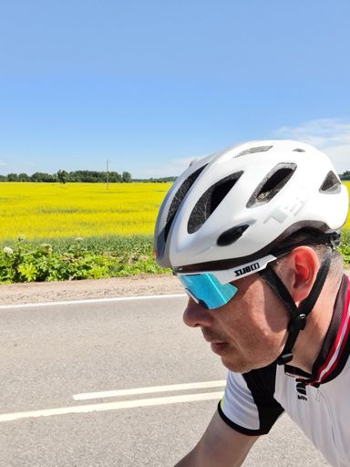 Огромное желтое поле