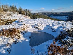 3 pierres, 2 rougimonts et 1 todlaine