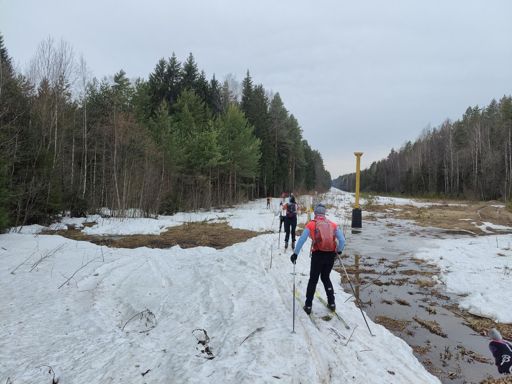 Фото Лены Кувшиновой.