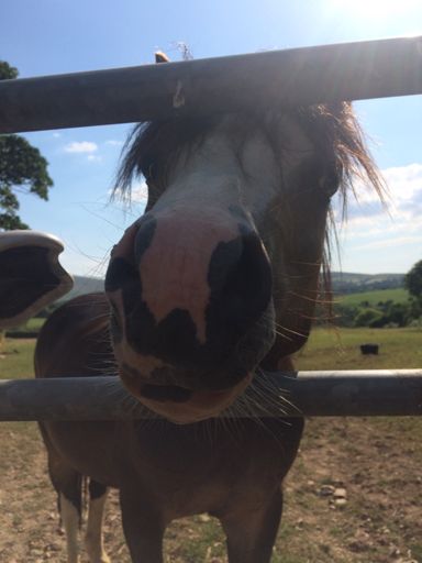 Little help from my freinds