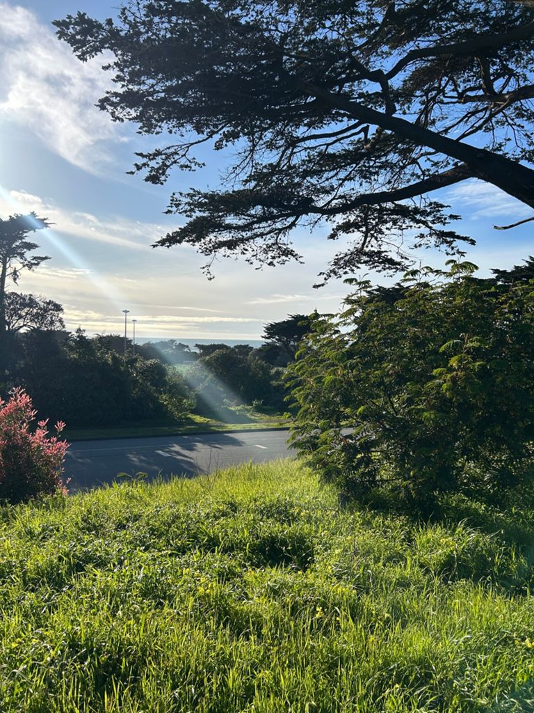 Butterlap (Presidio & Golden Gate Park) photo 4