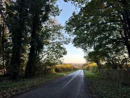 Morning sun near Dullingham