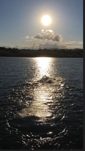 Пахаем солнца водную гладь