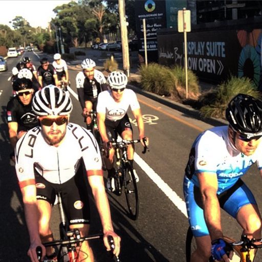 Jet Express Shark Attack