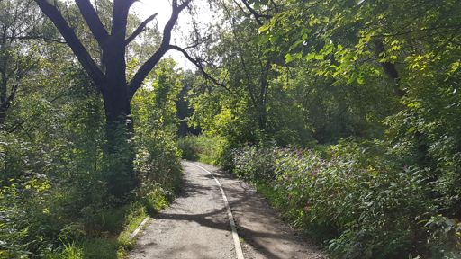 Вдоль Яузы.