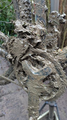 There is a bike under there somewhere.