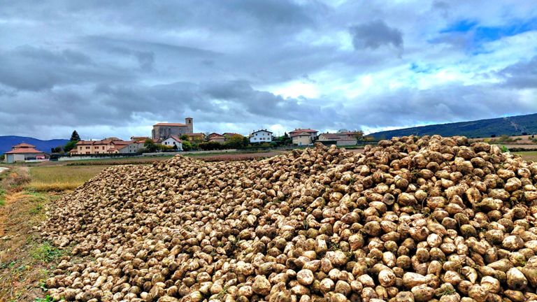 Románico alavés. Iglesia De San Esteban, Hueto Abajo y Iglesia de la Natividad desde Mendoza.