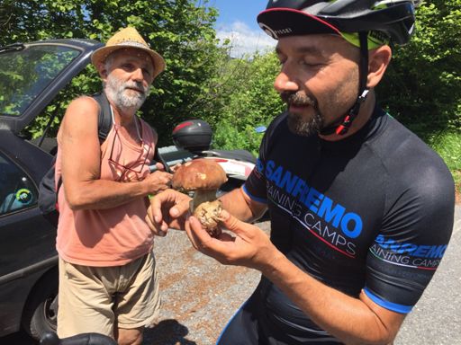 A spot of foraging while climbing
