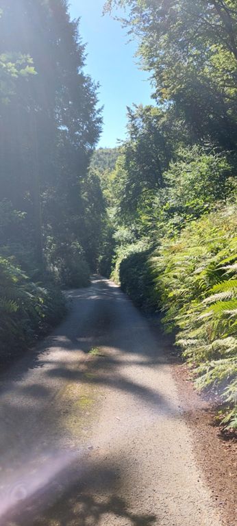 One of many climbs, sometimes pushing the bike up with shoes skidding on the ground. 17% gradients were common. Morning hills were like this several times over. I was concerned these repeated steep hills would necessitate replacement brake pads in no time.