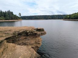 Footing sur les bords du lacs