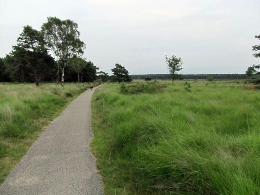 Hoge Veluwe
