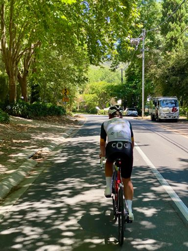 The Fresh Prince of Belair on tour guide duties.
