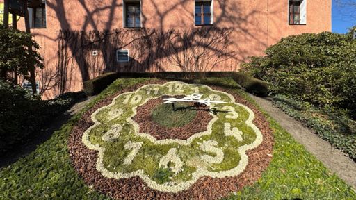 Noch mit Winterbeflanzung, bald im Frühlingskleid zeigt die Blumenuhr an der Fleischerbastei in Zittau seit 1966 Jahr um Tag die Zeit an. Als ich sie fotografierte war es gerade 14.19 Uhr.