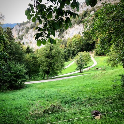 Montée de la Jacotterie - Jura‘s answer to the Lacets de Montvernier! Must-do climb! 🙌🏻