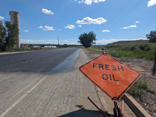 NGL this is probably one of the better photos I've ever taken.