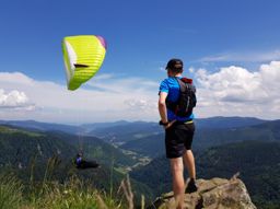 Wildenstein au Rainkopf