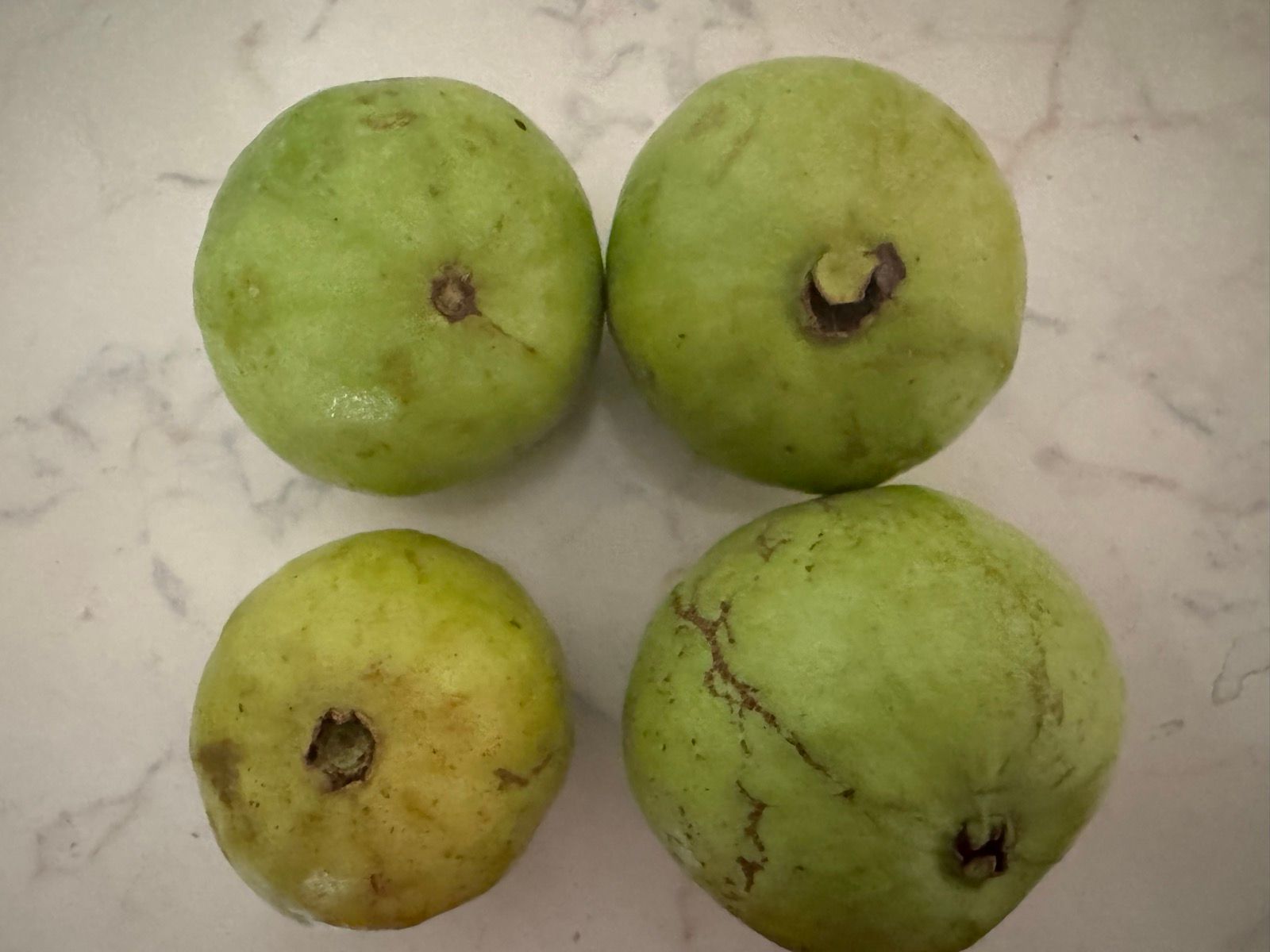 5 cent guavas. Granted they were small, but still…