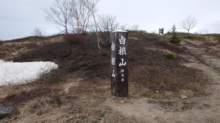 ここまで来たら、もうひと上り😆