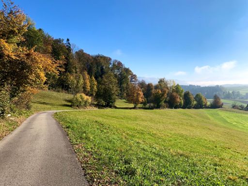 Aufstieg Auegst am Albis