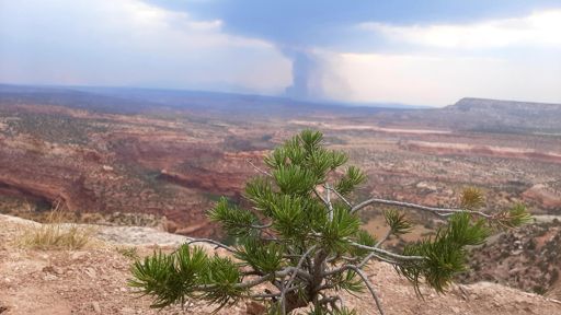 Deer creek fires as seen from day 4 hut