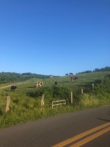 Corbin Branch scenery is as good as it gets