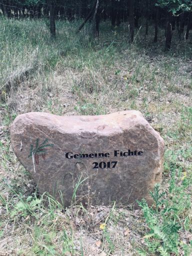 Wir bitten von Mitleids Bekundungen Abstand zu nehmen.