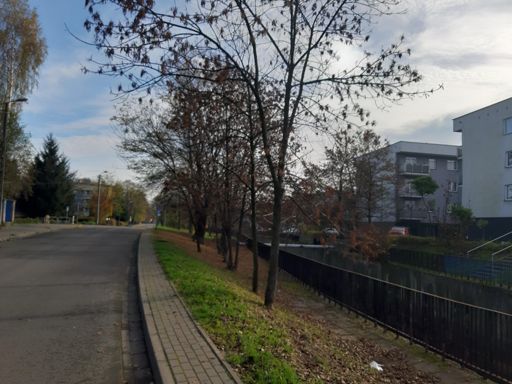 W tym korycie płynie Rawa