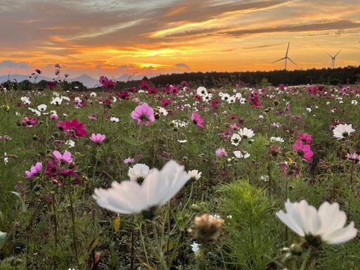 郡山布引風の高原。※２日目の朝。
