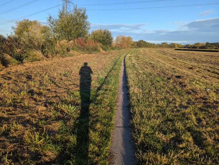 route-highlight