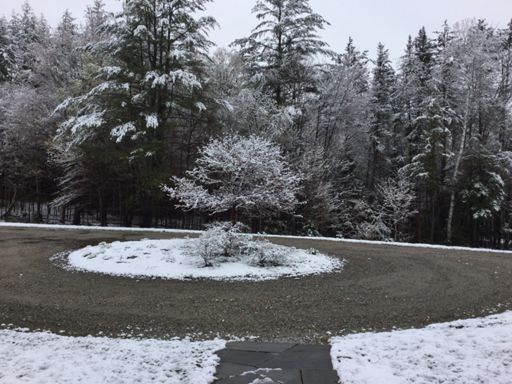 Yet, this is home in Vermont as of this AM!