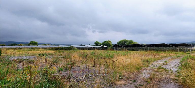 Solar farm beside Strawberry Line