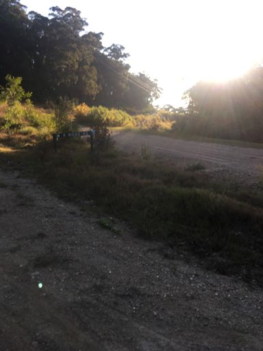 That's the route I was meant to take.