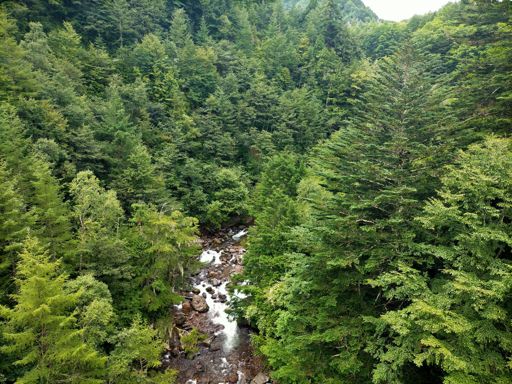 復旧がいつになるかわからないので、ひとまず白樺峠へ向かう