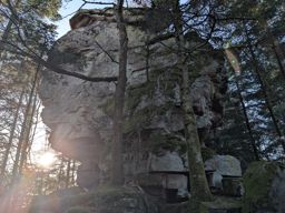 Pierre-piquée Derzognier