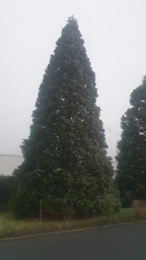 Langen (Hessen)_ID2393_BM_hinten