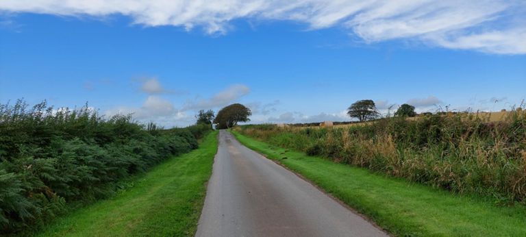 Lovely way the local farmer cut the hedges and lawns beside the road.