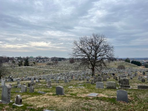 Thought I’d cut through this graveyard but there was only one exit very close to the entrance.