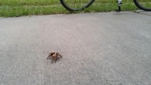 My new little friend.