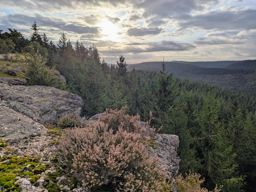 Les deux donons depuis la maison