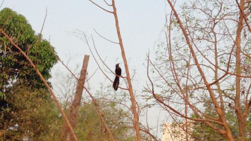 भारद्वाज दर्शन (Start to End) दोन्ही पॉइंट