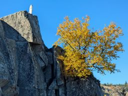 Boucle lac blanc  Hirschteine