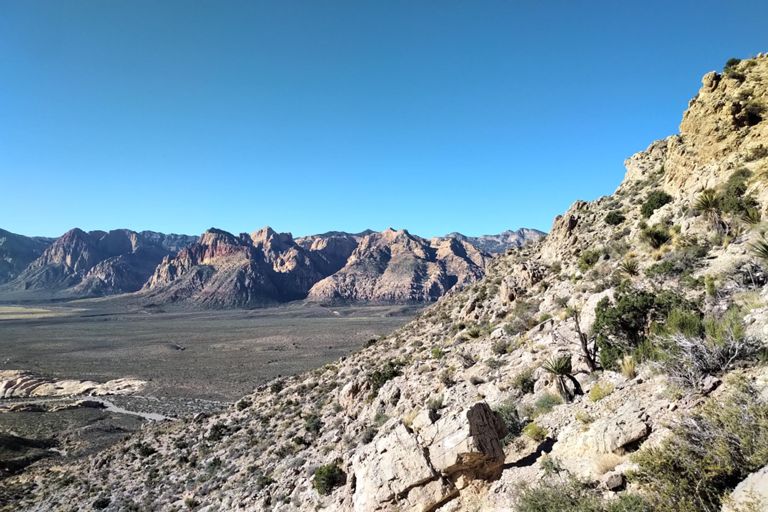 Turtlehead Peak photo 5