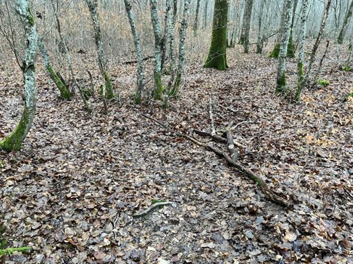 Supprimé le raccourci dans le single sinueux nord-est Paucourt 