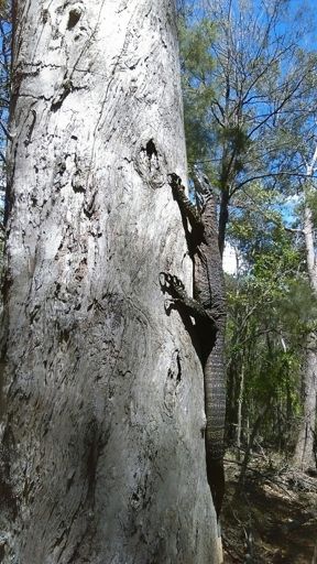 Photo makes it look a lot smaller.