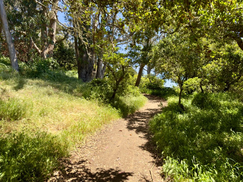 Butterlap (Presidio & Golden Gate Park) photo 80