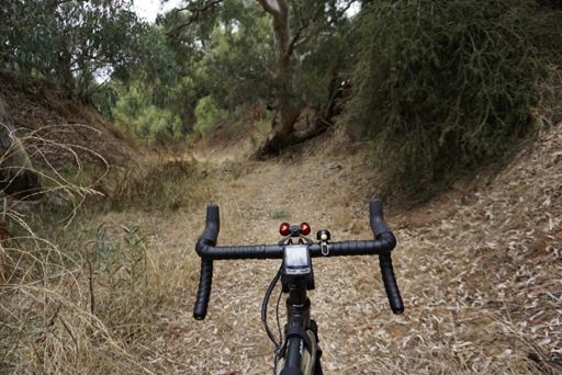 The easy but of the ride.