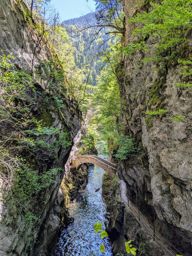 Creux du van, gorges de l’Areuse, retour par le dos d’âne