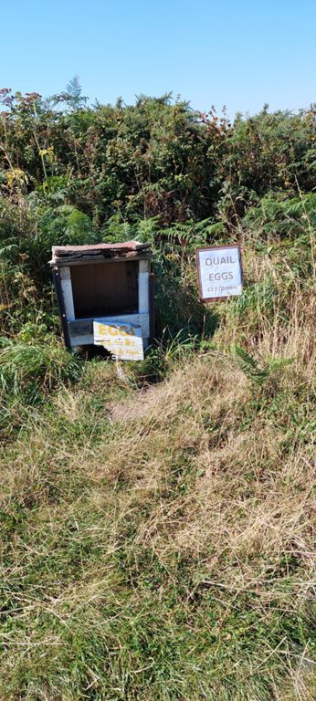 Close by the previous photo